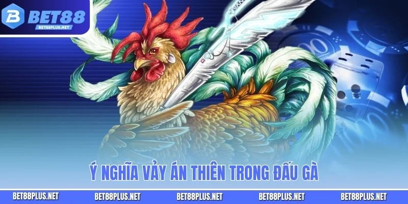 Ý nghĩa vảy án thiên trong đấu gà